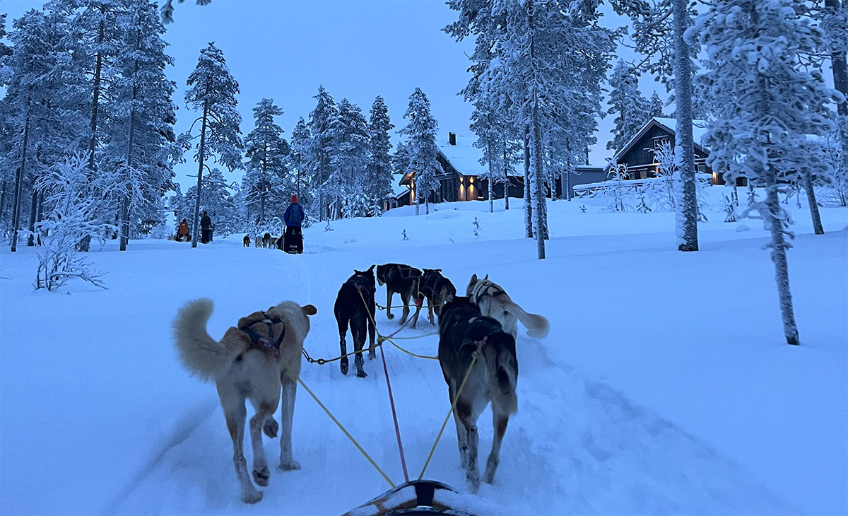 Zweden als wintersportland - Hondensleetocht